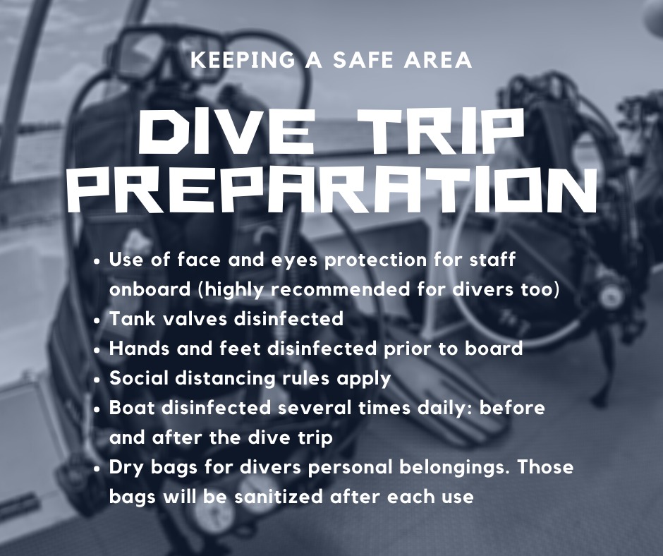 dive trip preparation